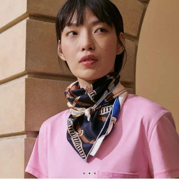 Hermes Grand Manege Detail scarf 70 Brand New Color: Caban / Rose Poudre / Jaune - Picture 5 of 5